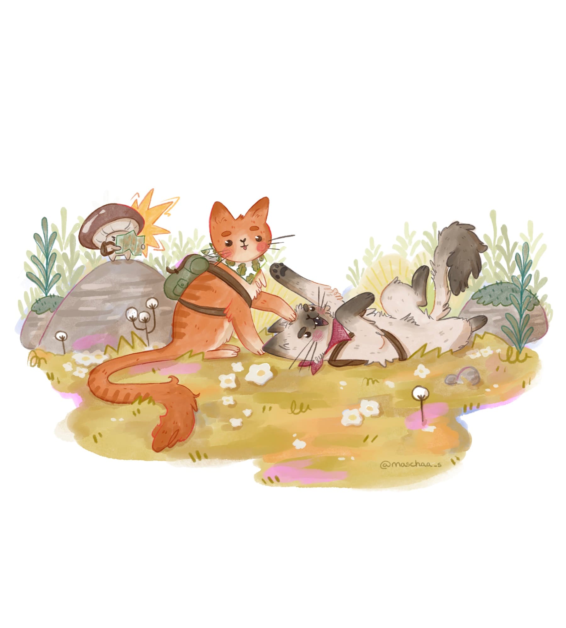 deux chats randonneurs jouent dans une prairie pendant qu'un champignon lit la carte